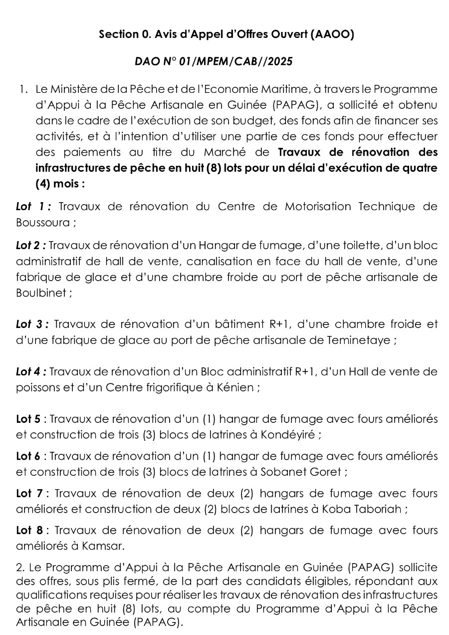 Avis d'appel d'offres pour le Marché de Travaux de rénovation des infrastructures de pêche en huit (8) lots pour un délai d’exécution de quatre (4) mois | Page 1