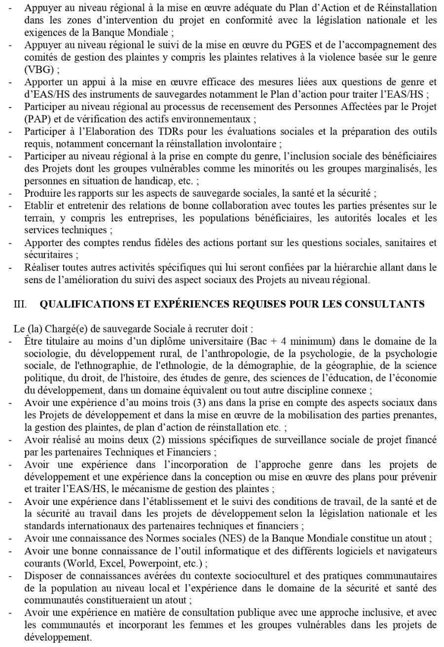 APPEL A CANDIDATURE POUR LE RECRUTEMENT DE DEUX (2) CHARGES DE SAUVEGARDE SOCIALE | Page 2