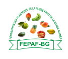 Logo de FEPAF-BG - Guinée Conakry