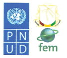  Projet GIRN-PBF Appels d'offre en guinée