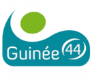 Guinée44 Offres d'emploi en guinée