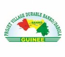 Projet Village Durable en Guinée (PVDG) Appels d'offre en guinée