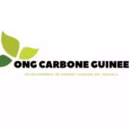 ONG Carbone Guin&eacute;e Appels d'offre en guinée