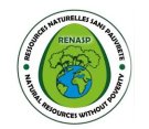 RENASP - emploi en guinée - recrutement en guinée