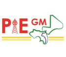 Logo de PIEGM - Guinée Conakry