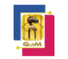 Logo de Guinéenne de Monétique  (GuiM) - Guinée Conakry